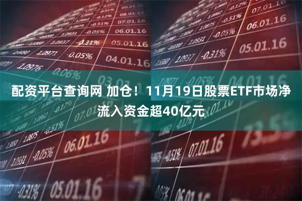 配资平台查询网 加仓！11月19日股票ETF市场净流入资金超40亿元